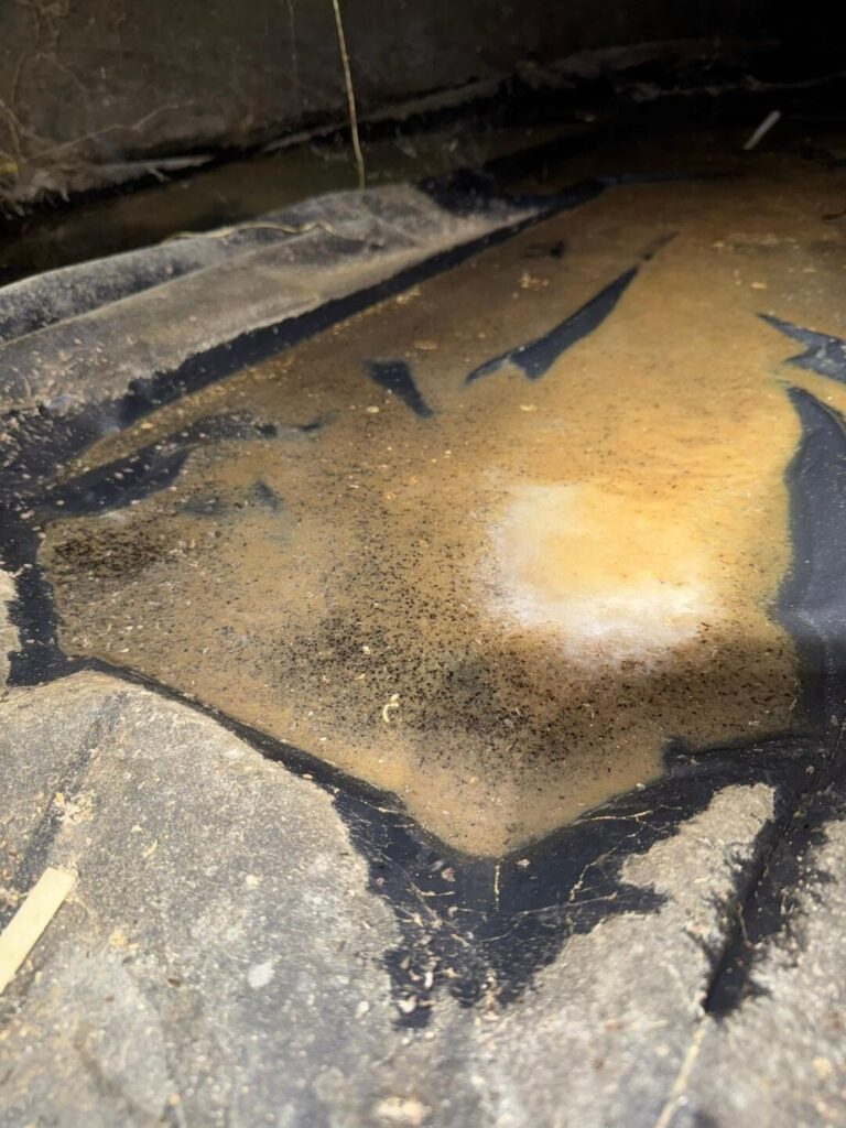 hazardous cleanup in Meridian