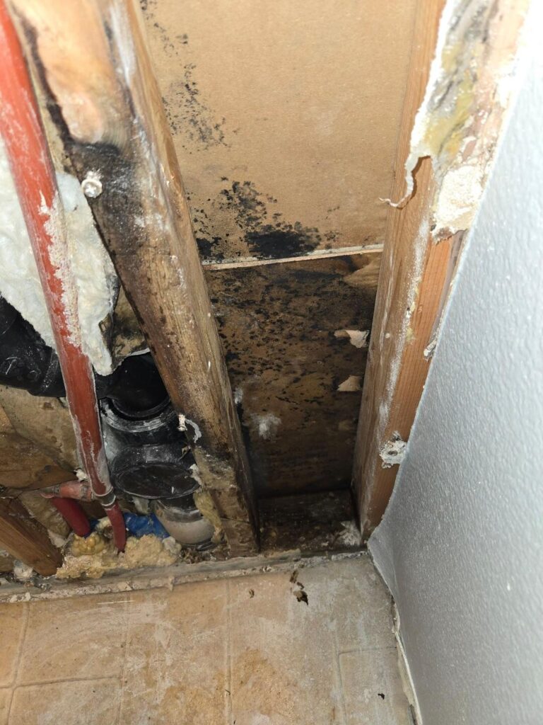 Water damage ceiling (2)