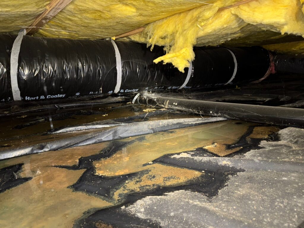 Sprinkler Winterization crawlspace moisture