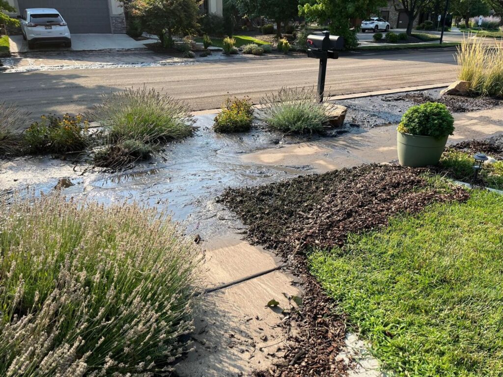 Sprinkler Blowout Sprinkler Winterization