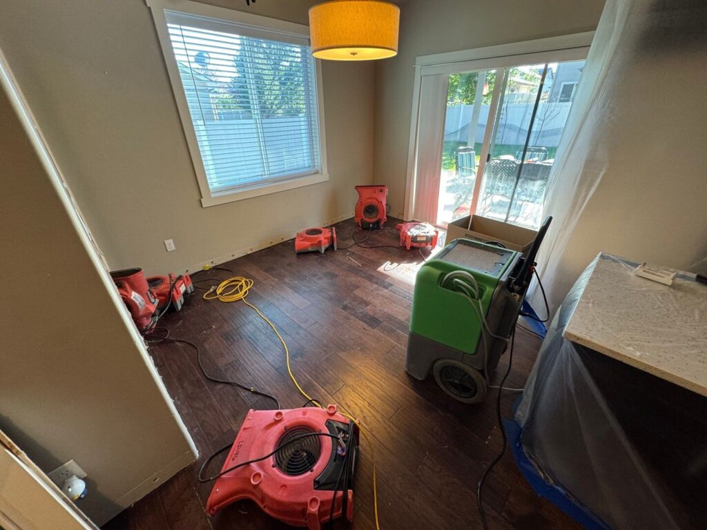water damage water & mold insurance coverage