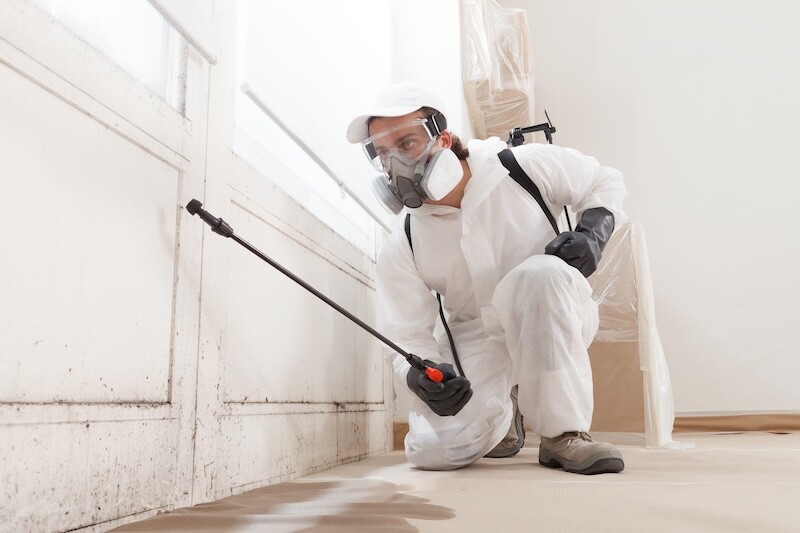 Mold remediation service: A professional worker spraying products to remove mold before house painting, clad in a protective suit and respirator mask, with a backpack sprayer at a home renovation site