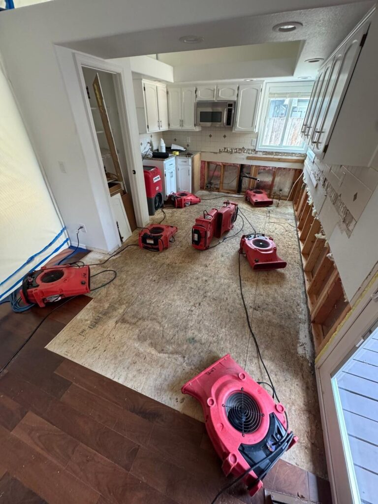 Water Damage Star, Idaho