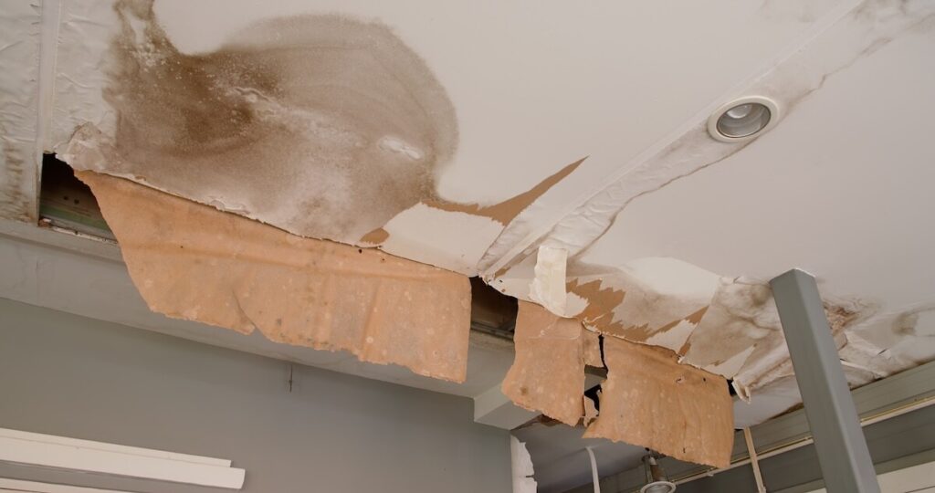 Boise Water Damage Real Estate
