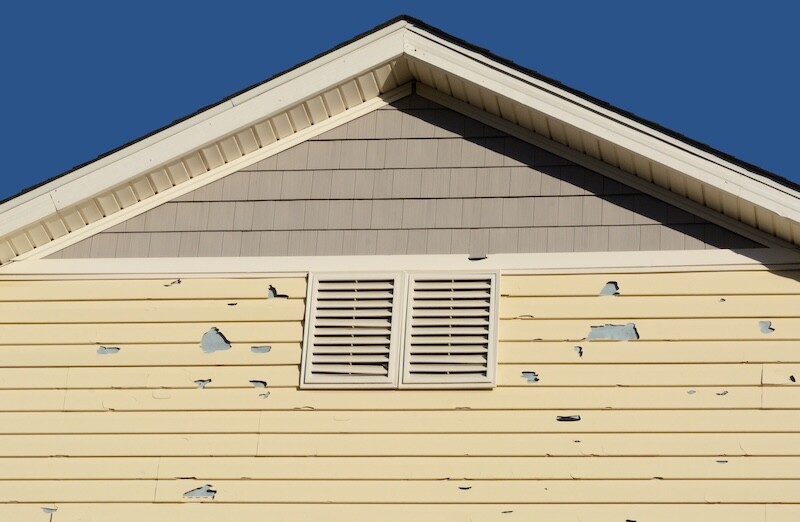 siding and mildew mitigation