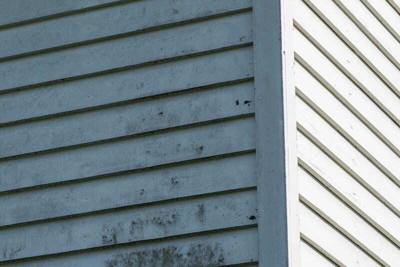 siding with mold on it exterior house
