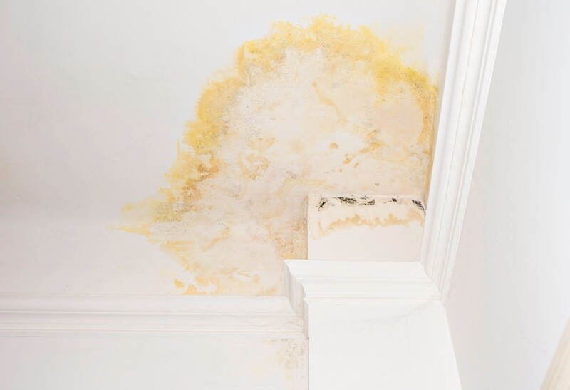 Flooded ceiling caused by nearby residents or a leaking roof. neighbors' flooding. Advertising the restoration contractor service