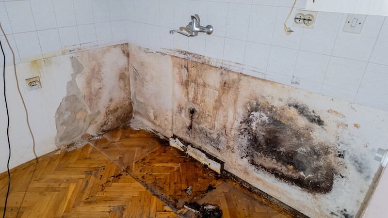 Emergency Water Damage Cleanup