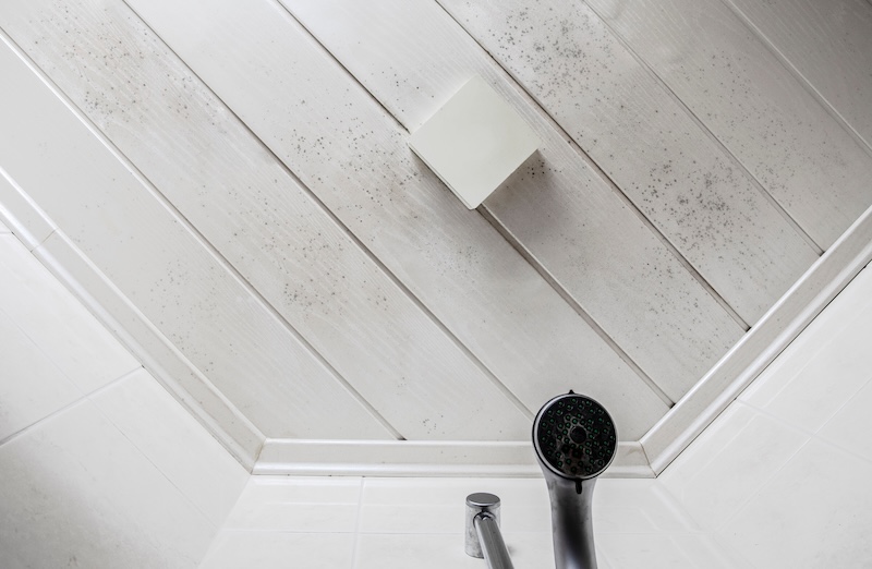 Start of mold build-up on bathroom ceiling, still with simple cleaning solution. Ceiling molding in interior fungal mold by the shower. needs cleaning white wooden background top view SSUCv3H4sIAAAAAAAACpxU226cMBB9r9R/WPm5SPiO8ytRH4zx7loBjMCkXUX595qLYaBJI/UNzzkznjnjw9v3b5cLKvXgDHq6vE2neHZ1PQ6h18H5NobzH2u8t21lexh57anIYUA7eLKVC753uobBUgdzb3VjY7Ad63oKv88gGoIO42AH0MtwH0Ow/RC8eYlhvJV+WNvEAN3KuttM6u4+eAhce2s7d0iuequbIbi5h42oa908YOChH40zvYepnW8rDkkmSuWba+gIpDV+CHMnw+Fe2/nB7cBeRLcfN9+530FPAaCS0cHeoqwHndIOn5fzJQFr+RAhhNaqi7BjOcdSaCn+X5nLx89Nx5ttzSTk2zvoure11ctunxcqevkVN9vMU6wkPVbOg6levdH1rBSo1PXOuPYG0ny4z+8ypRk/tqF/wM5R7X2ny3ra+DXWtCl+18MQ6VWKQ6Hn1YJ7Wh/mAdaqqIqbmI6YUkJozogkVHBBCUXwQd9drDO3kxocu9rryk6Xbmr/9dSFlKLgmKlNfKQrX9oTgXC2E84u2Dhi5wBDrKgEFQ7eSIQiuRfYZMPIjkHHJBi0n8yTMAVSjz76gHC01EKgOQedn9y1cQpwy8loiUNgl6vnEibZAiWHTAZoXFzVcX3pj5T2JskX1yrMefFF+5EjyBfrjRwpPhE5Yuqfy1VYUPzJ7BOmPl685AVlYtXl8AeP3bkK/pnOsyOcF1jSQvDNm9VpdCQYpYJyyTbKeXLEJJZq4m2UNDgilDFCMRH7BXBuRGQupcq53FPXsZGKVlGCFxuShkalFFLRkmVScZqxEpOsyHmemWuumWURJGb+Ja5KuOl1oLLAWNEKZ5IVPGNVSbLSiiozFGNtVJSBq5j1/gcAAP//AwANU3i0iQcAAA==