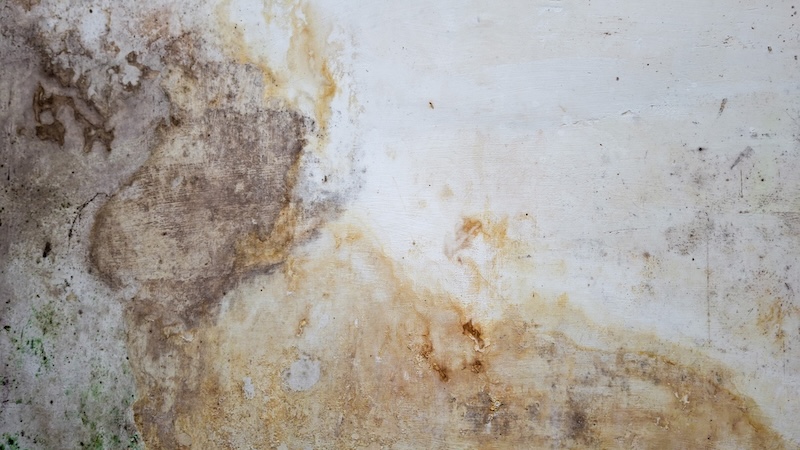Damaged Wall Drywall