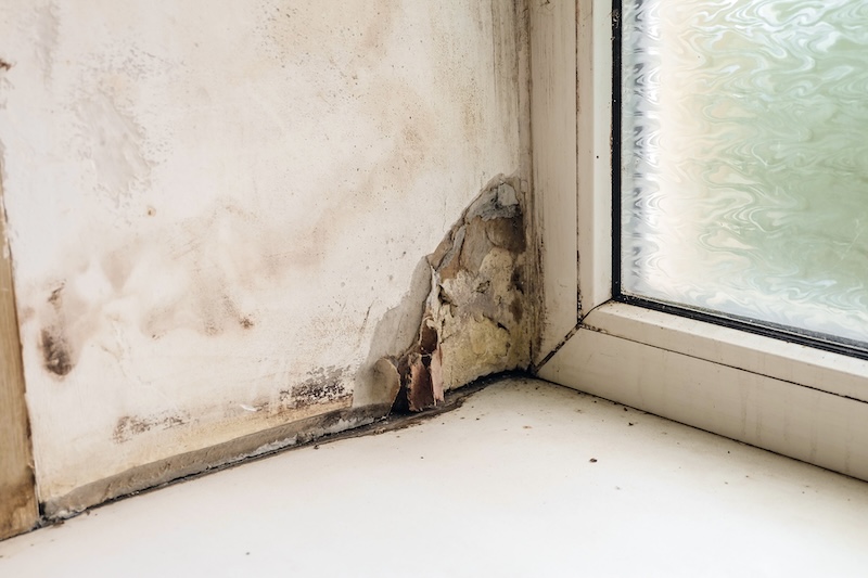 Wetting and growth of molds of window slope near plastic window and windowsill. Collapsing drywall.