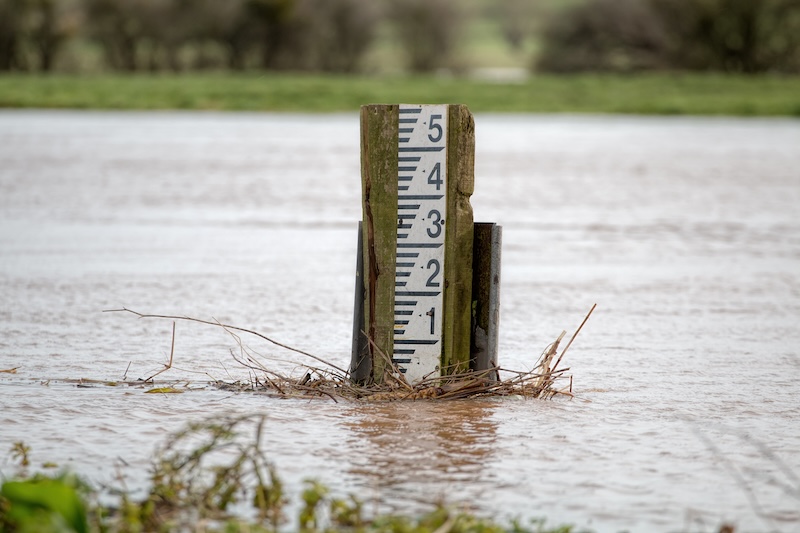 High Water Table Soil