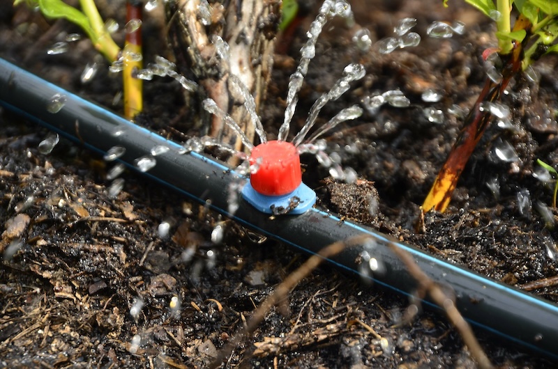 Irrigation System Hidden Water Damage