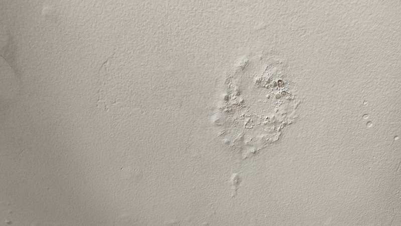 ceiling stain dry