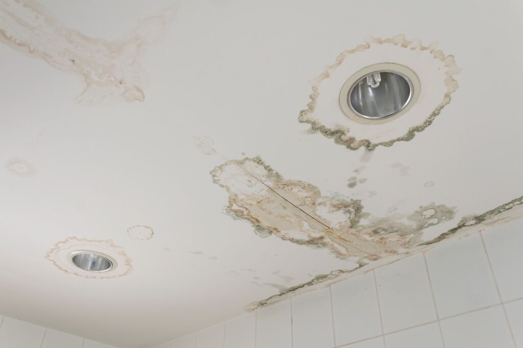 Water leaking from ceiling   make  damaged  lamp