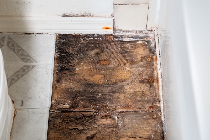 Water Under Flooring LVP