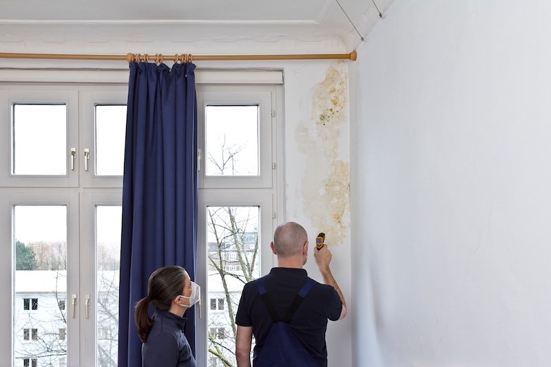 Woman watching a man measuring the temperature of an external wall where mildew is growing with an infrared or laser thermometer. SSUCv3H4sIAAAAAAAACoxTy27cMAy8F+g/LHSuAPkl2fmDHAr0XvRASXRWiGwtLDlFEOy/l34o6w3aoDdzSM5QQ/rt65fTiWmIzrCH09sSUey8n2OaILkwEiy+7fiEo8XpiLxMlRRHAK1LYXLgj6CGZM4jDEjgOHu/wNc1yWKCNEeMB/V4nlPCKaZgngmuDtUGEj4R/V19nv7nFp9yYk1SB6XYDwwXj2wfaJOZ9ZL5jiPL6KbyD4rHkYZyYYp/ZXHRoPcwYpjjjW/7+JV9gCcczettdILshDDE5FZv3l9AiTuVu6Agx3OYqRdyD8PrZyRVr02te8ErrUpeg+p52xnJsSoLqxUq7A/E28f1YP6EHmFb1a7BykY0UreCK6EEr4VsOXRdyUUnC91rqRqAPAPrO90oWVtuhah5jRK5FgjcQGc6VE2v+nbV3x7Fnn+T4cO66X0CmK0Lh82/BAM+friRy+SMG58ObSGd16vNbSbMY5oWr94NYj6EC2g6kYdTT5yY8TPESOU248djpH8kDAedMaTVnZ2VWbrWJSyqkkyRVUXvVl3TFN1esB3/2RHPOk4ecL74ABYX0dulfPgtCtnUqu2qotw3lSemixwcVf5Pt6xX5+73vNY4+8kvyUrqV6UoqmJd2N7oFklWVbRPbWtuykbSmnXPgS6By9J2KLBVxpTUdf0DAAD//wMAgv4kuXsEAAA=