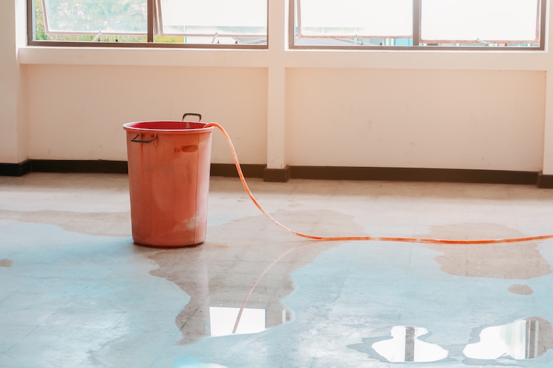red bucket underlie water leak interior office building in from Ceiling